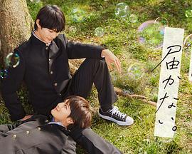 大庆seo排名怎么操作